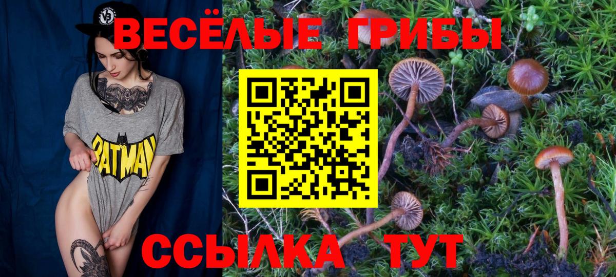 Магадан  купить закладку  Вход с VPN  Галлюциногенные грибы мицелий 